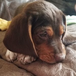 Meet your Posher, Brandalyn